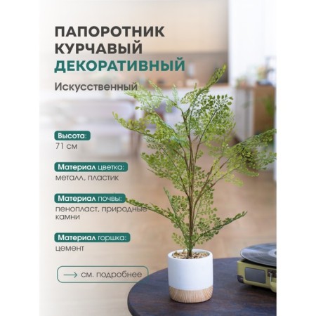 Curly fern in a cement pot, 125 × 125 × 710 mm, green / white / beige color