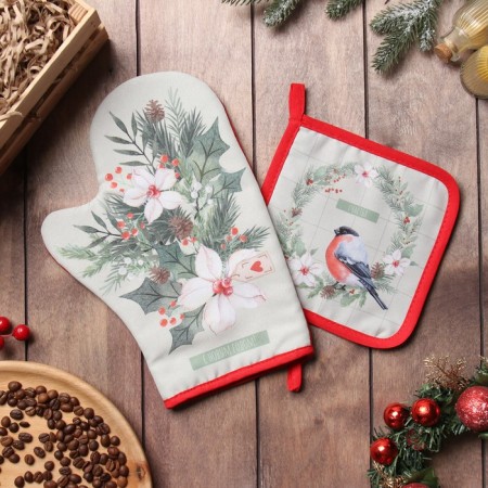 Set of kitchen. Dolyana "Bullfinch": mittens 20x28 cm, severity 17x17 cm, 35% HL, 65% PE
