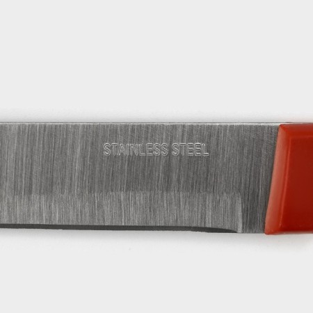 Knife Knot Dolyana "Tricolor", blade 12.5 cm-3
