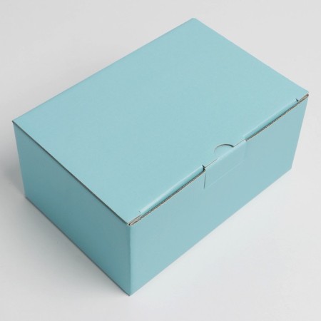 Gift folding box, packaging, Tiffany, 22 x 15 x 10 cm-1