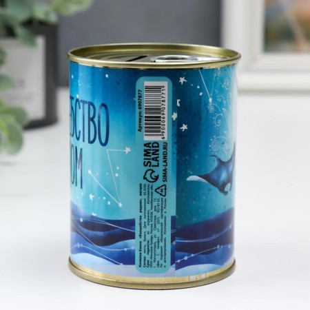 Pigger Bank Metal "Magic near"-3