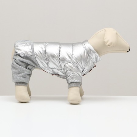 Kombinson "Cosmonaut", size 14 (DS 32 cm, OG 42 cm, Osh 31 cm), silver-1