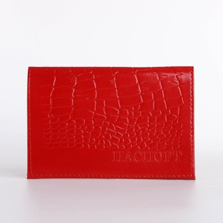 Cover for passport, red color-1