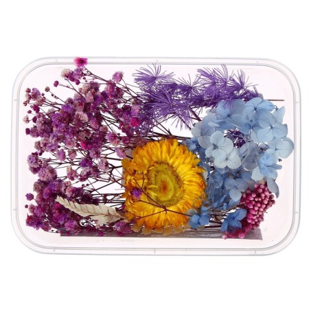Set for creativity "Set of dried flowers" large, blue + yellow + lilac-1