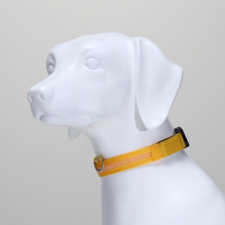 Collar with backlight size XL, Osh 52-60 x 2.5 cm, 3 glow modes yellow-2