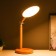 Piatti table lamp LED 5W 4000K USB white 15x25x45cm Risalux