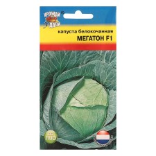 White cabbage seeds 