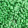 Stamens for flowers "droplets bubble greens" 4x7 mm set 700 pcs length 6.5 cm