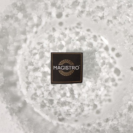 Magistro saucer "Avis", 10 × 8 × 3 cm-5