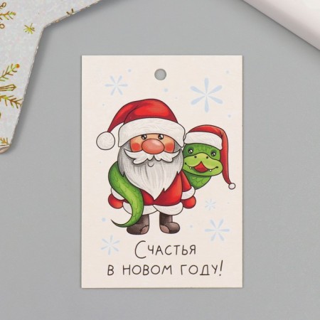 Cardboard "Grandfather Frost and Snake" set 10 pcs (5 types) 4x6 cm-2