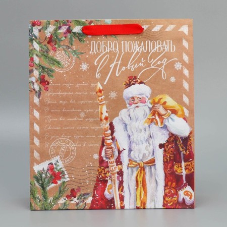 Craft vertical packet "Mail Santa Claus", M 26 x 30 x 9 cm, New Year-4