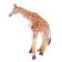 Animal set "Wild"