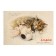 Album for drawing A4, 20 sheets on the crest "Sleeping Druzhoki", a hard substrate, block watercolor paper 200 g/m2, Goznak St.