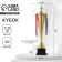 Cup 154a, award figure, gold, plastic stand, Tricolor, 59 x 23 x 12 cm