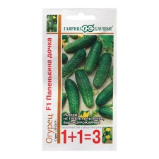 Seeds of cucumber 