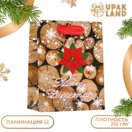 Laminated package "Merry Christmas" 11.5 x 14.5 x 6 cm-2