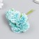 Flowers for decorating "Astra azure" 1 bouquet = 6 colors 10 cm