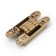 Loop Lockland hidden installation, 25x150 mm, with 3D regulation, color matte gold