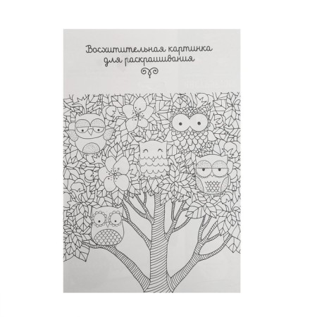 Set for creativity. Fresco sand "Magic Owl"-3