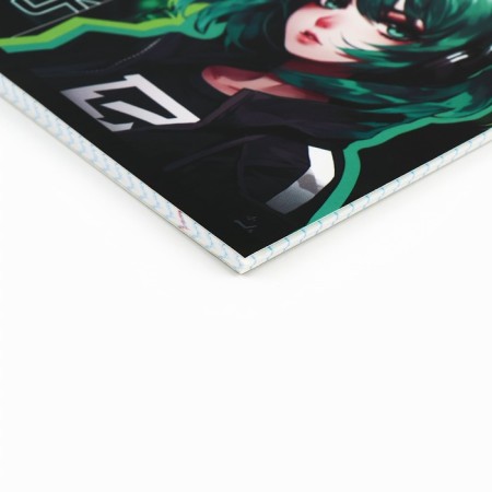 Subject notebook A5, 36 liters on the paper clip “September 1: anime. Biology"-1