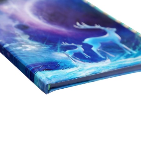 Notebook Gift Book on the castle, A6+, 48 sheets, Lunar Light line, mix-6