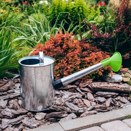 Watering can, 5 l, with a diffuser, galvanized, without a pattern, nose d = 25 mm-5