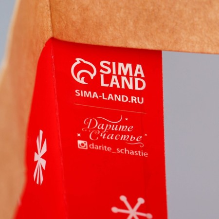 Craft packet with a plastic window “Gift from Santa Claus”, 31 x 26 x 11 cm, New Year-6
