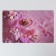 Joy Home Serving napkin, Chocolate Heart, 26x41 cm