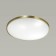 Lota Bronze 1x28W Lota 4000K LED IP43 white, bronze