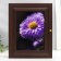 Key "Bright Flower" Wenge 19x24 cm Mix