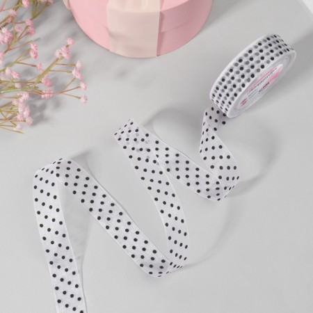 Kapron tape "Peas", 25 mm, 23 ± 1 m, white color-1