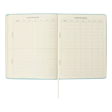 Universal diary for grade 1-11 Leaf, solid cover, artificial leather, foam, embossing foil, liesse, 80 g/m2-4