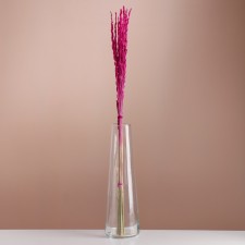 Set of dried flowers 