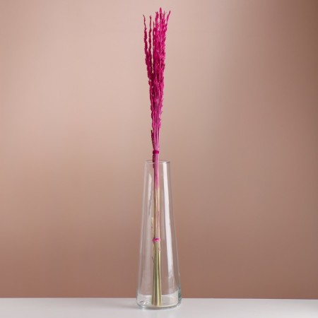 Set of dried flowers "Raigrace", banch 21 pcs, length 60 (+/- 6 cm), fuchsia
