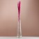 Set of dried flowers "Raigrace", banch 21 pcs, length 60 (+/- 6 cm), fuchsia