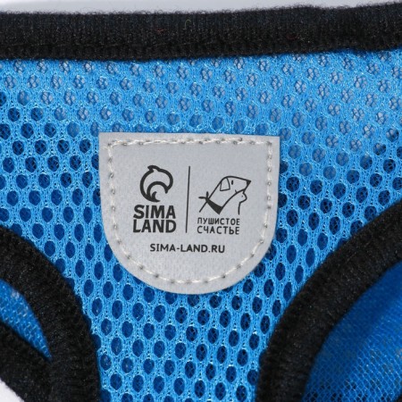 Drinking harness with a leash and reflective patch, m, ok 33, og 32-43, blue-5