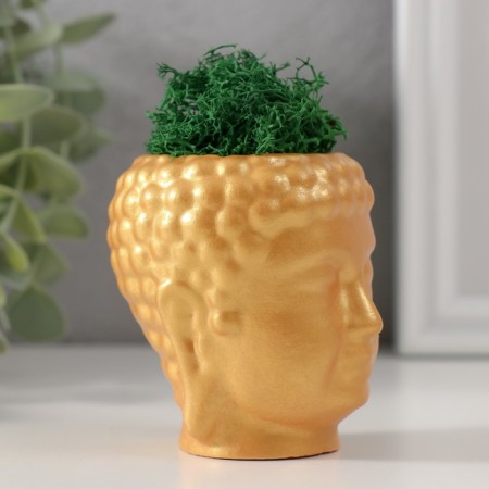Kashpo concrete "Buddha" with moss 7*6cm gold (moss green stabilized)-1