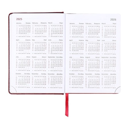 Dated diary 2025 b6 168 sheets, Devente. Wild, a solid cover to leatzers with foam rubber, perforation, liesse, block 70, burgundy-9