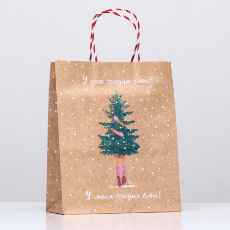 Gift package "Who has a Christmas tree today?" 26 x 32 x 12 cm-2