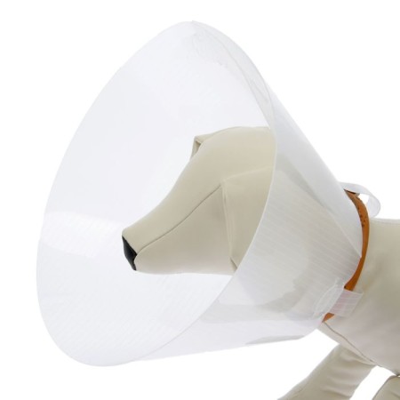 Veterinary collar with a mount on a collar, height 15 cm (without a collar)