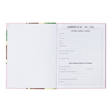 Universal diary for grades 1-11, avocato, solid cover 7BC, glossy lamination, 40 sheets-3