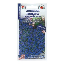 Flowers of Lobelia Flowers Riviera 