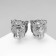 Earrings Metal "Chord" cheetah, color silver