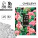 Drummer-mixer with coloring Antistress A5, 80 L Life in the Art