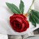 Artificial flowers "Pijon peony" d-8 cm 45 cm, burgundy