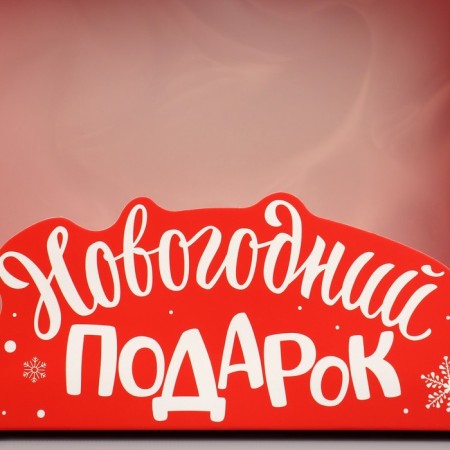 Gift Box "New Year's Gift", 23.5 x 20.5 x 5.5 cm, New Year-3