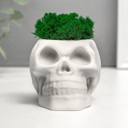Concrete Kashpo "Skull" with moss 7x11 cm white (moss green stabilized)