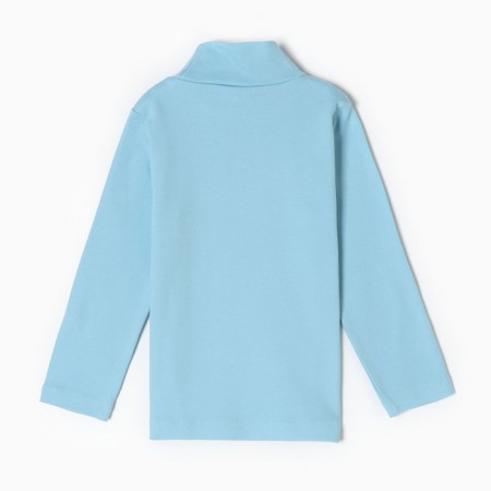 Turtleneck for the boy, the color of light blue, height 116 cm-3