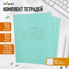 A set of notebooks of 10 pieces, 18 sheets in the cage of the Green Cover PDA, block No. 2, whiteness 75% (gray sheets)