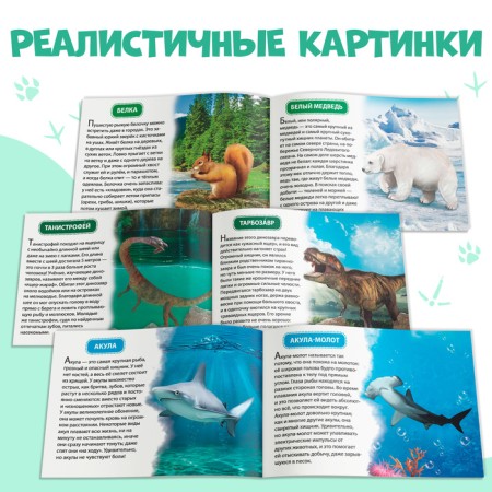Educational books set 6 pcs. "We learn about everything around", 108 animals and birds-4